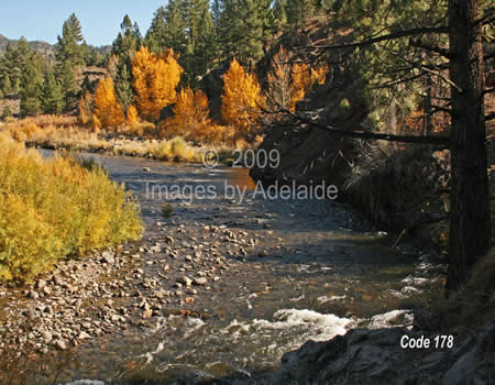 East Carson River